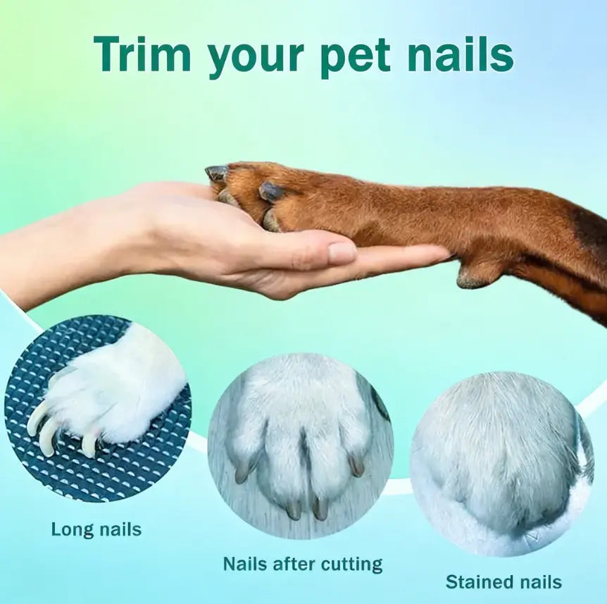 Petpetcut 2 Pro Electric Pet Nail Grinder and Trimmer Kit for Dogs and Cats, Rechargeable and Ultra Quiet, Ideal for Small and Large Breeds with 4-Hour Battery Life
